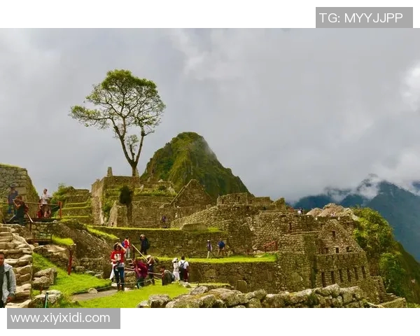 秘鲁足球明星崛起之路探秘：从传统强队到世界舞台的奋斗历程